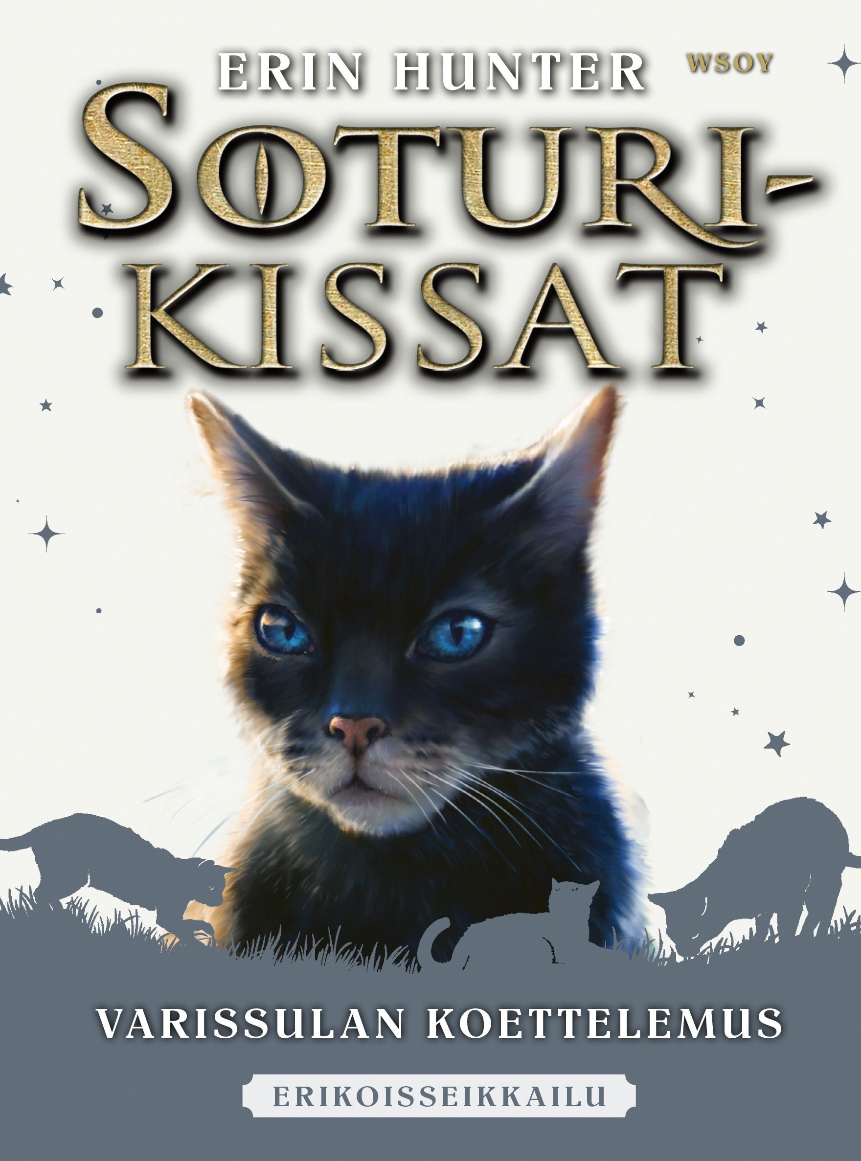Erin Hunter : Soturikissat: Erikoisseikkailu: Varissulan koettelemus