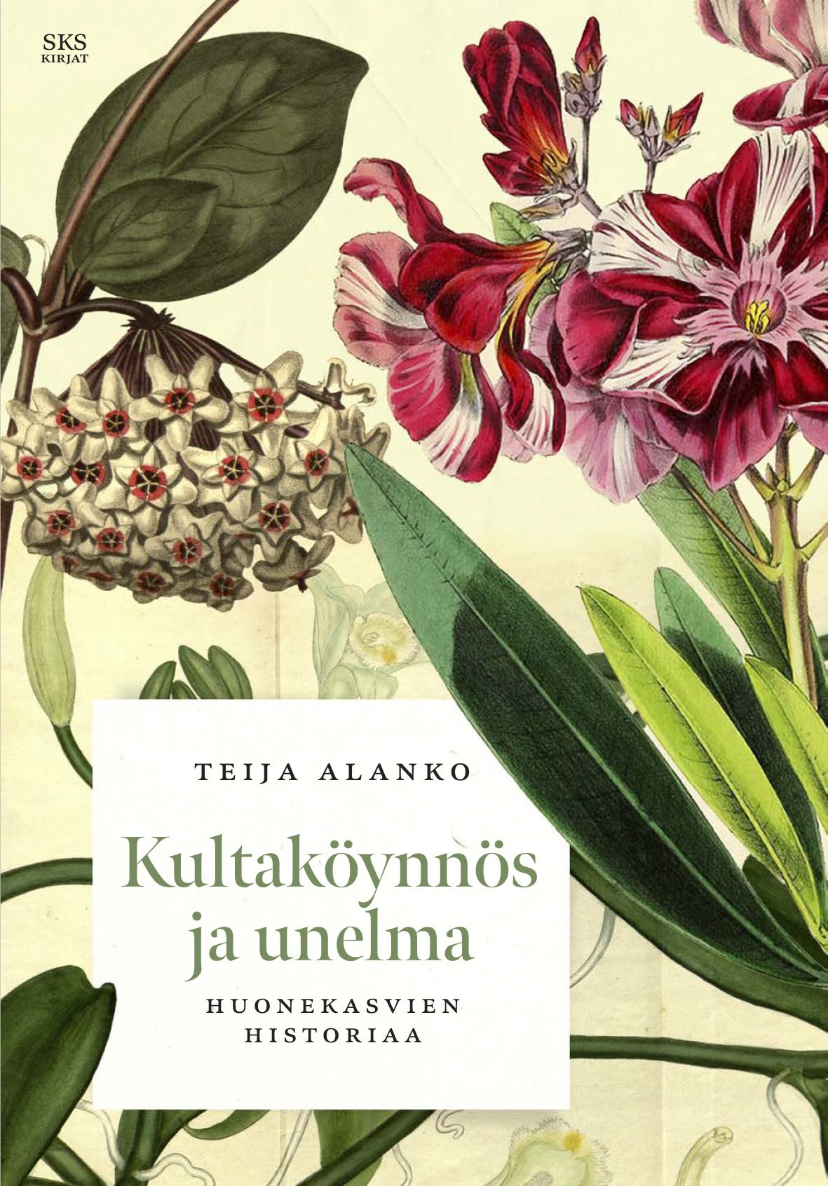 Teija Alanko : Kultaköynnös ja unelma