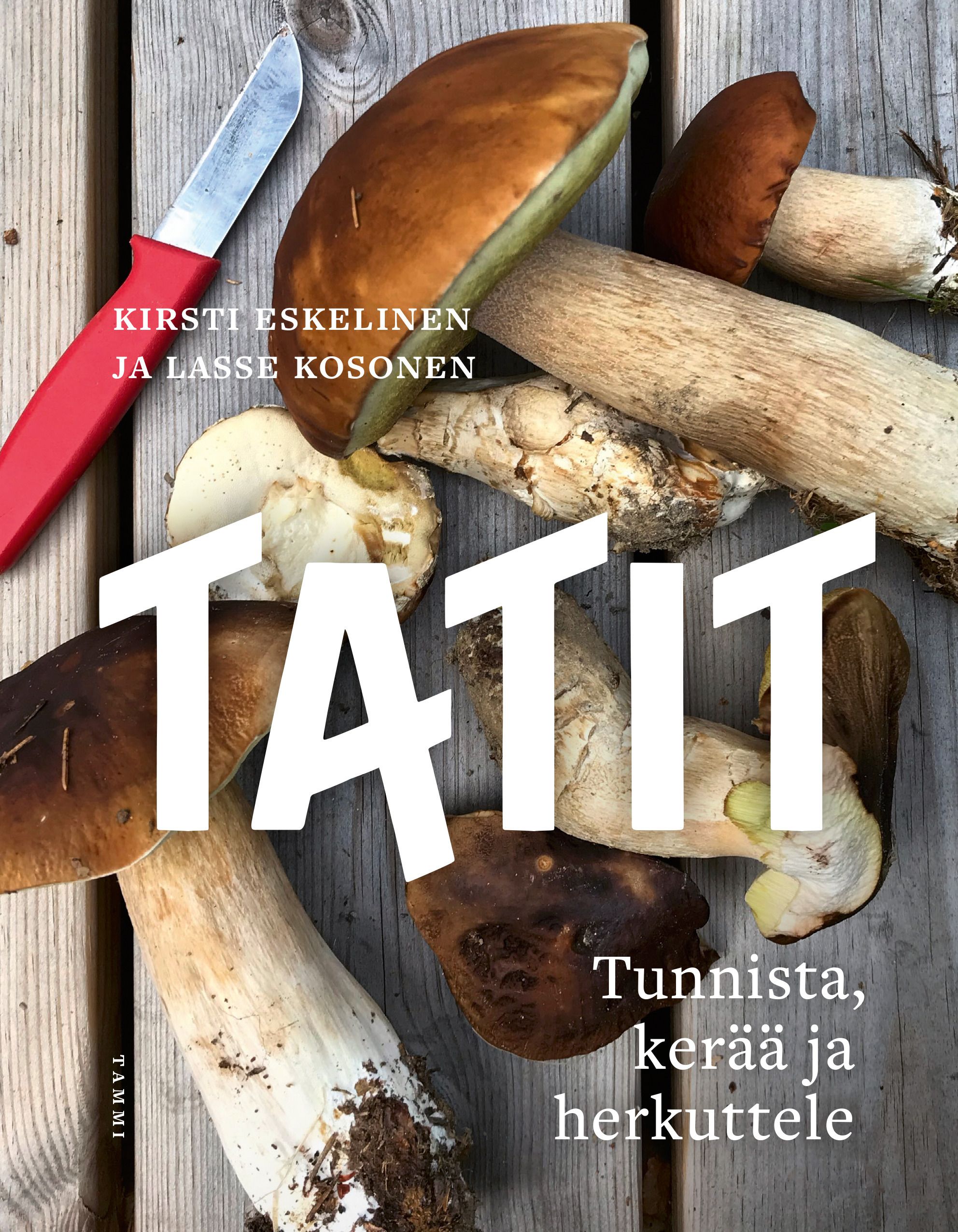 Kirsti Eskelinen & Lasse Kosonen : Tatit