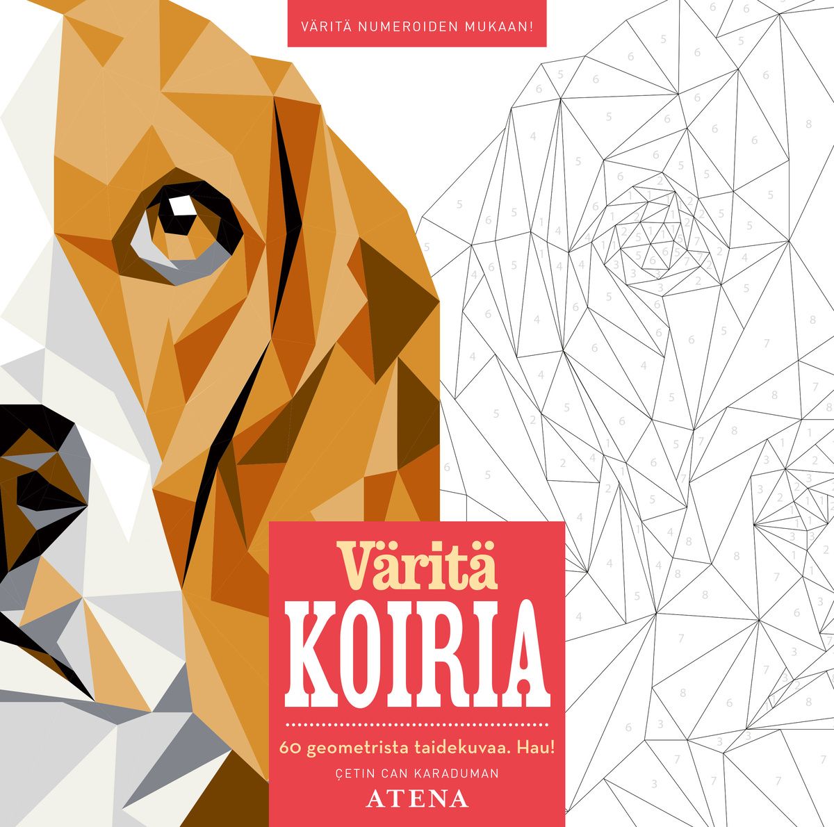 Çetin Can Karaduman : Väritä koiria