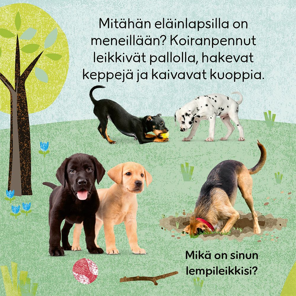 9789523348370_470696_Kasin_kosketeltavaa_Elainlapsia_lisakuva1_LoRes