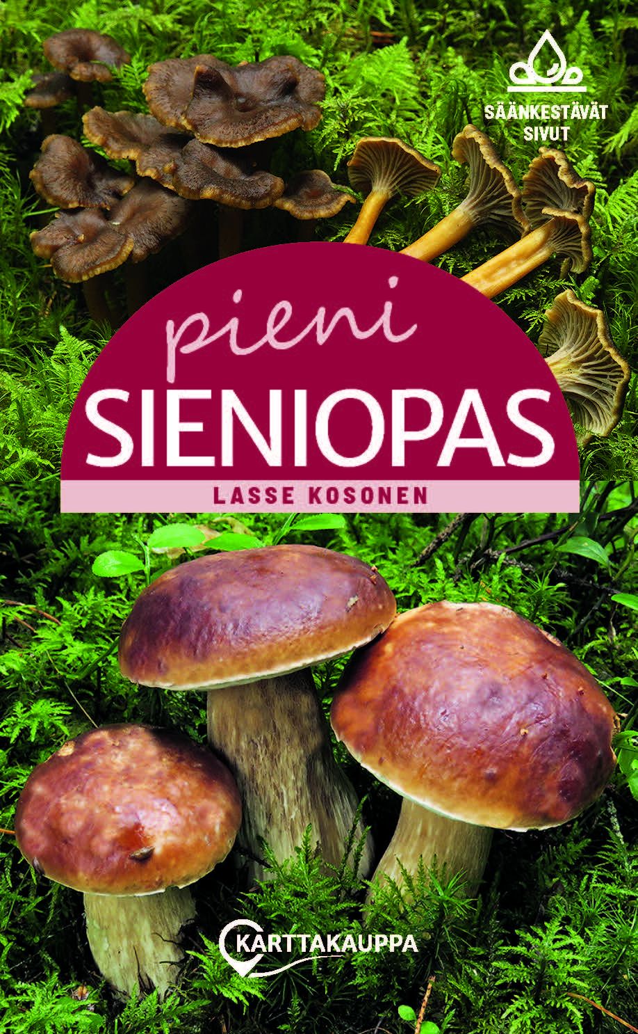 Lasse Kosonen : Pieni sieniopas