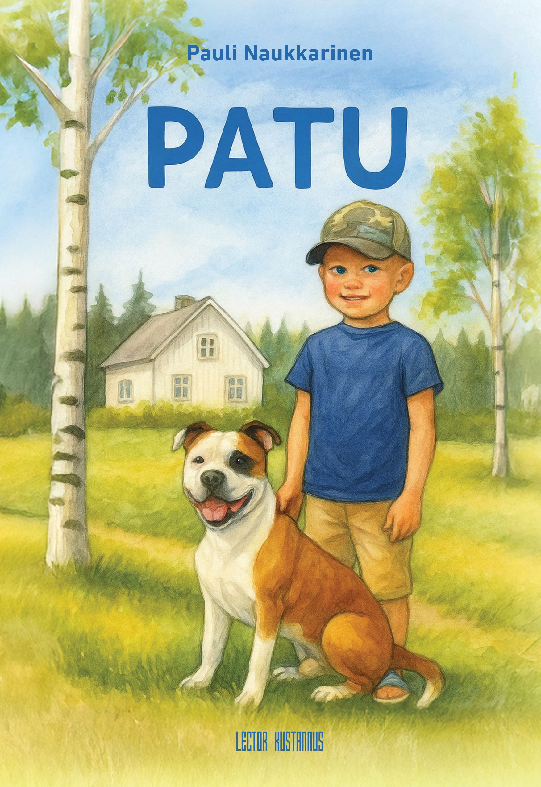 Pauli Naukkarinen : Patu