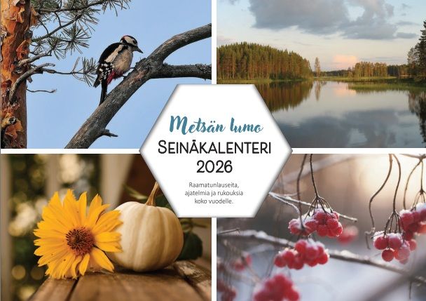 Marja-kaarina Marttila & Lasse Pesu & Ilari Kärki : Metsän lumo seinäkalenteri 2026