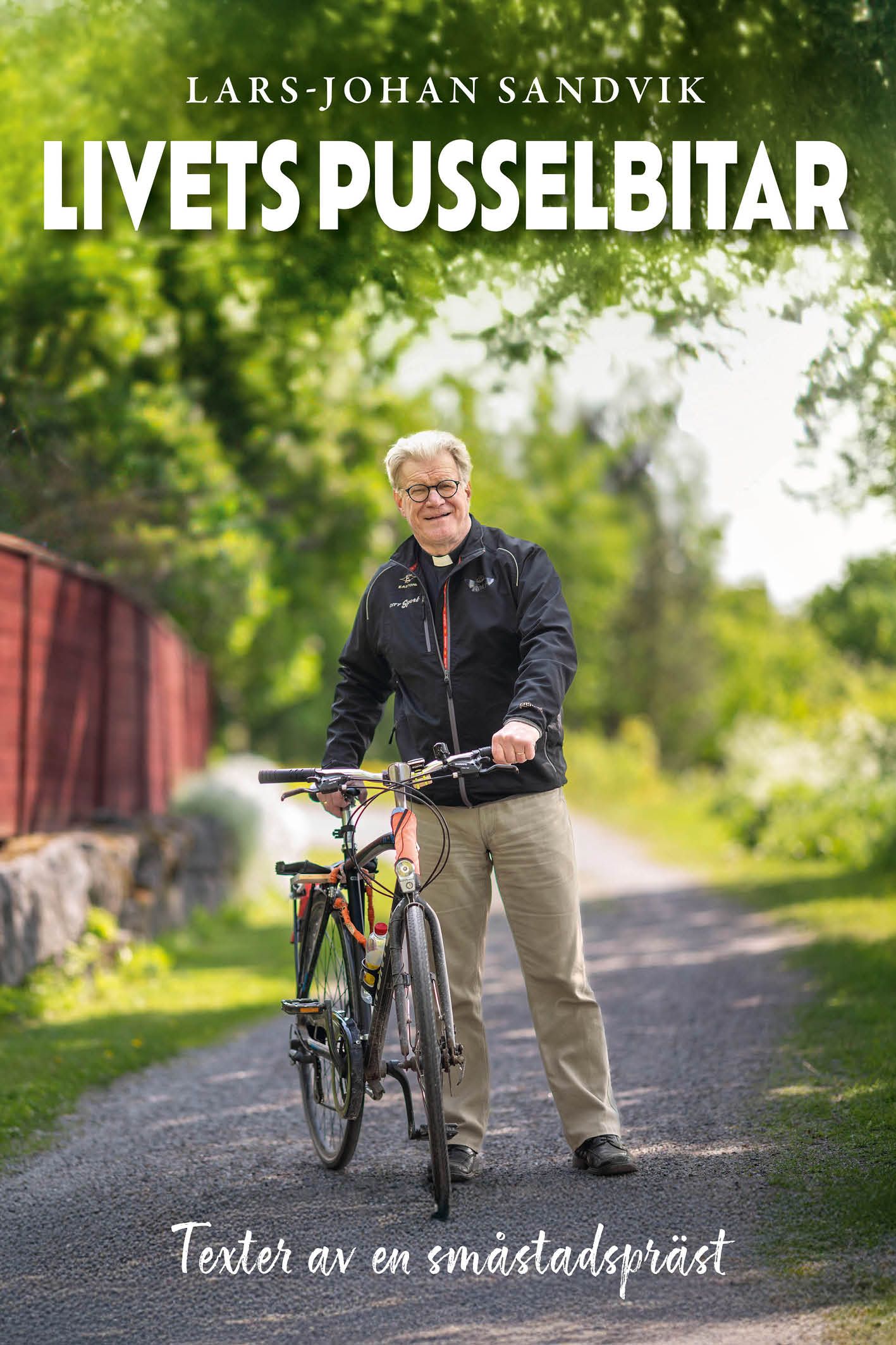 Lars-Johan Sandvik : Livets pusselbitar