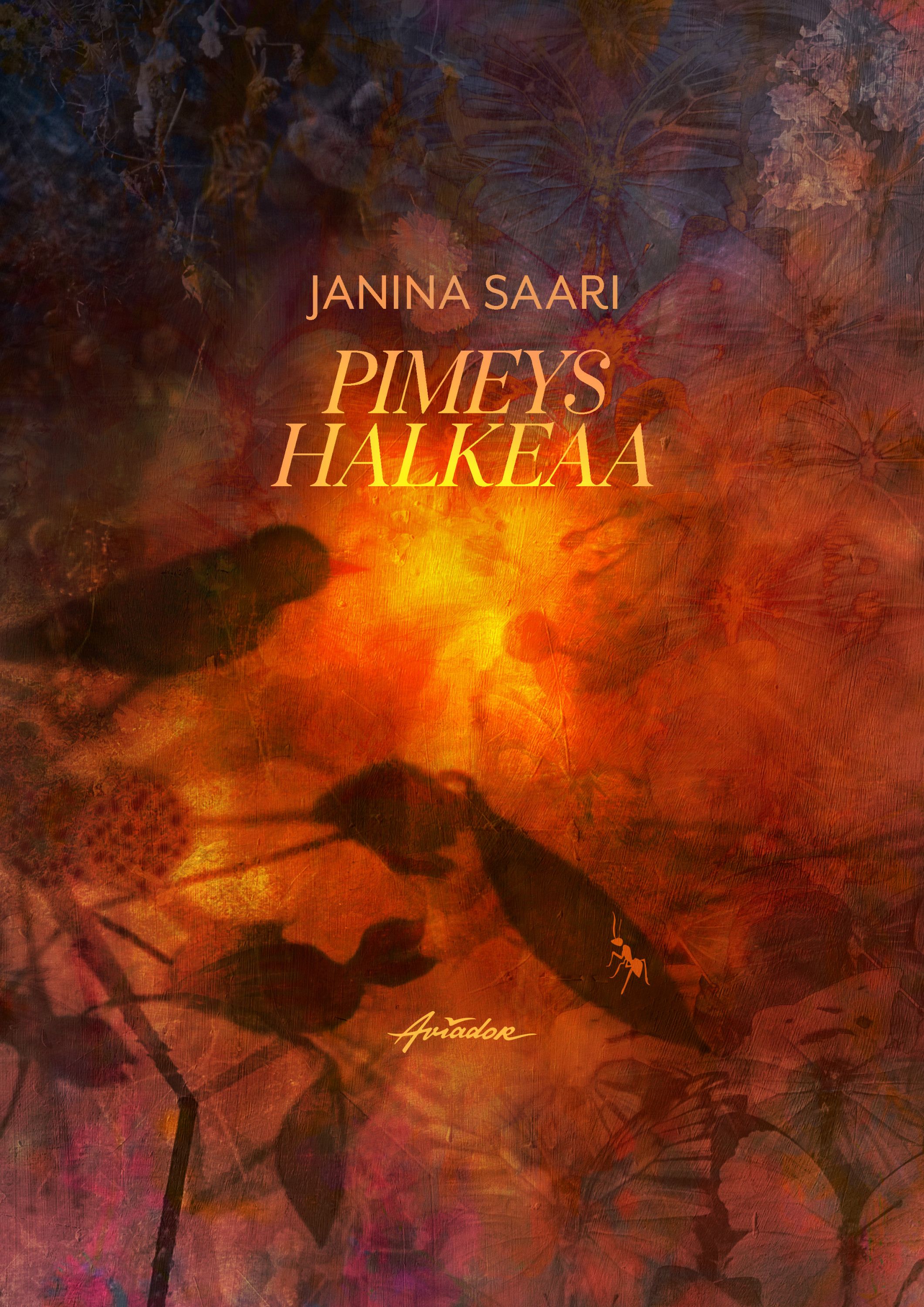 Janina Saari : Pimeys halkeaa