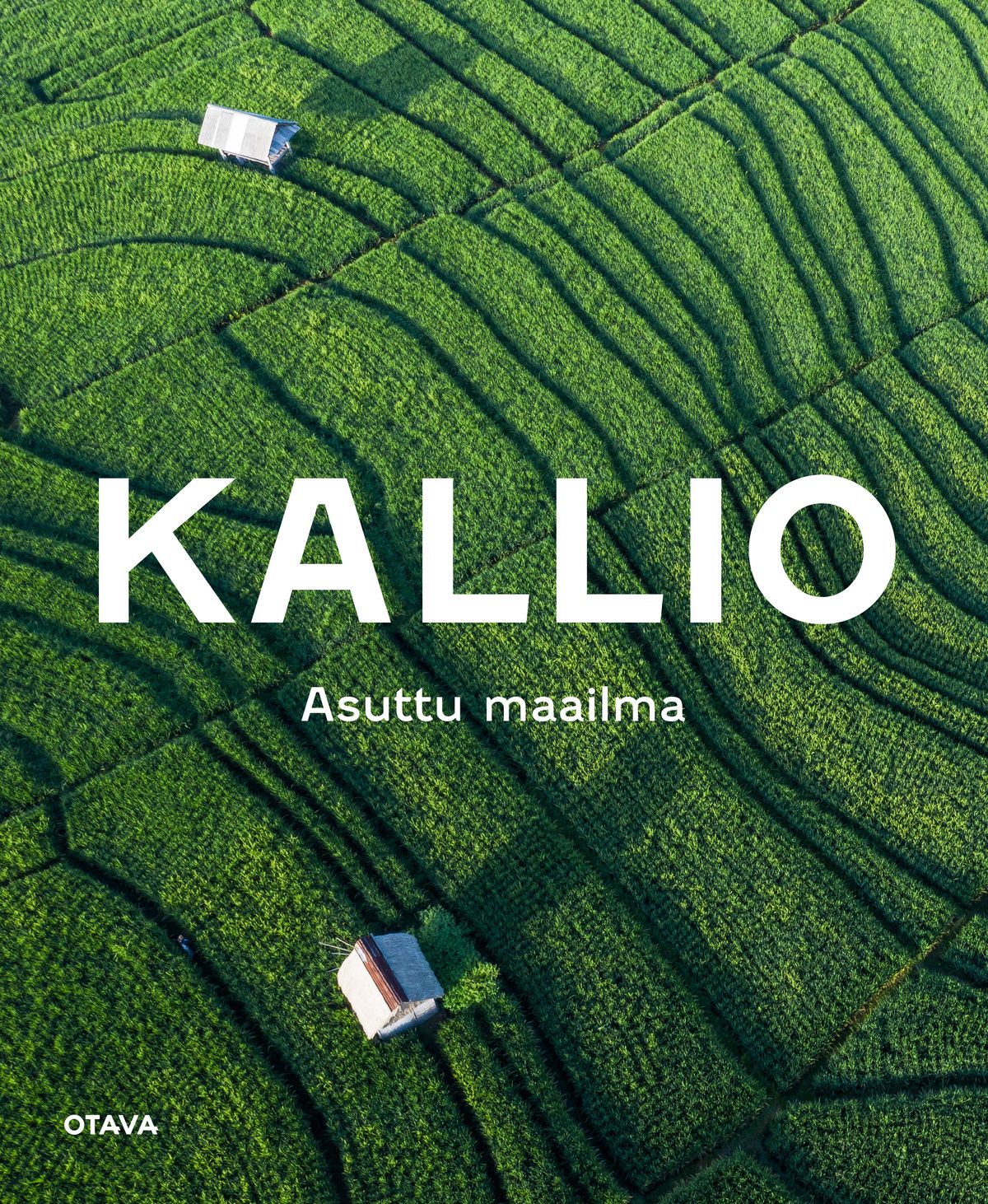 Nina Brander & Heidi Fabritius & Sanna Jortikka & Laura-Leena Leiwo & Tiia Nikkanen : Kallio Asuttu maailma