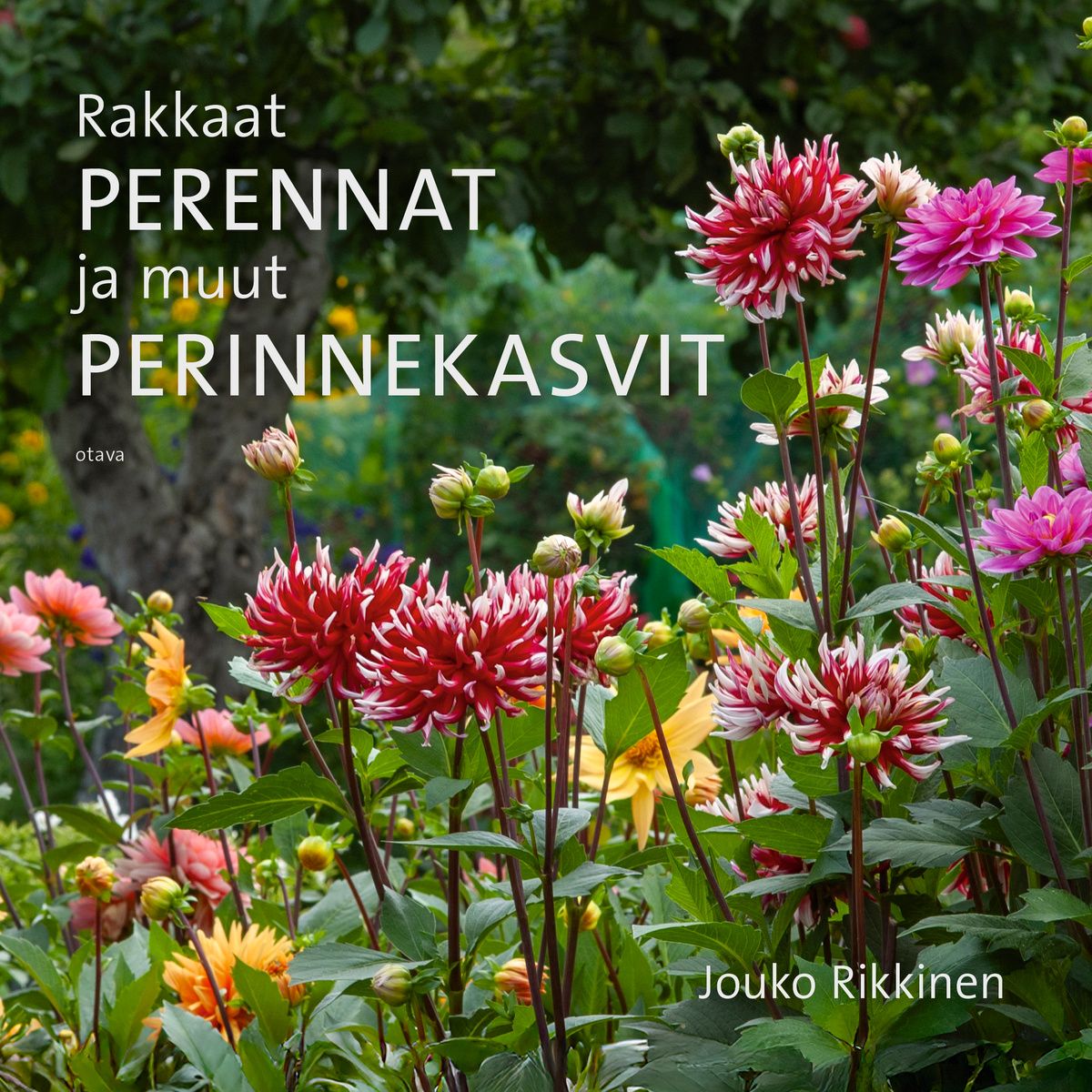 Jouko Rikkinen : Rakkaat perennat ja muut perinnekasvit