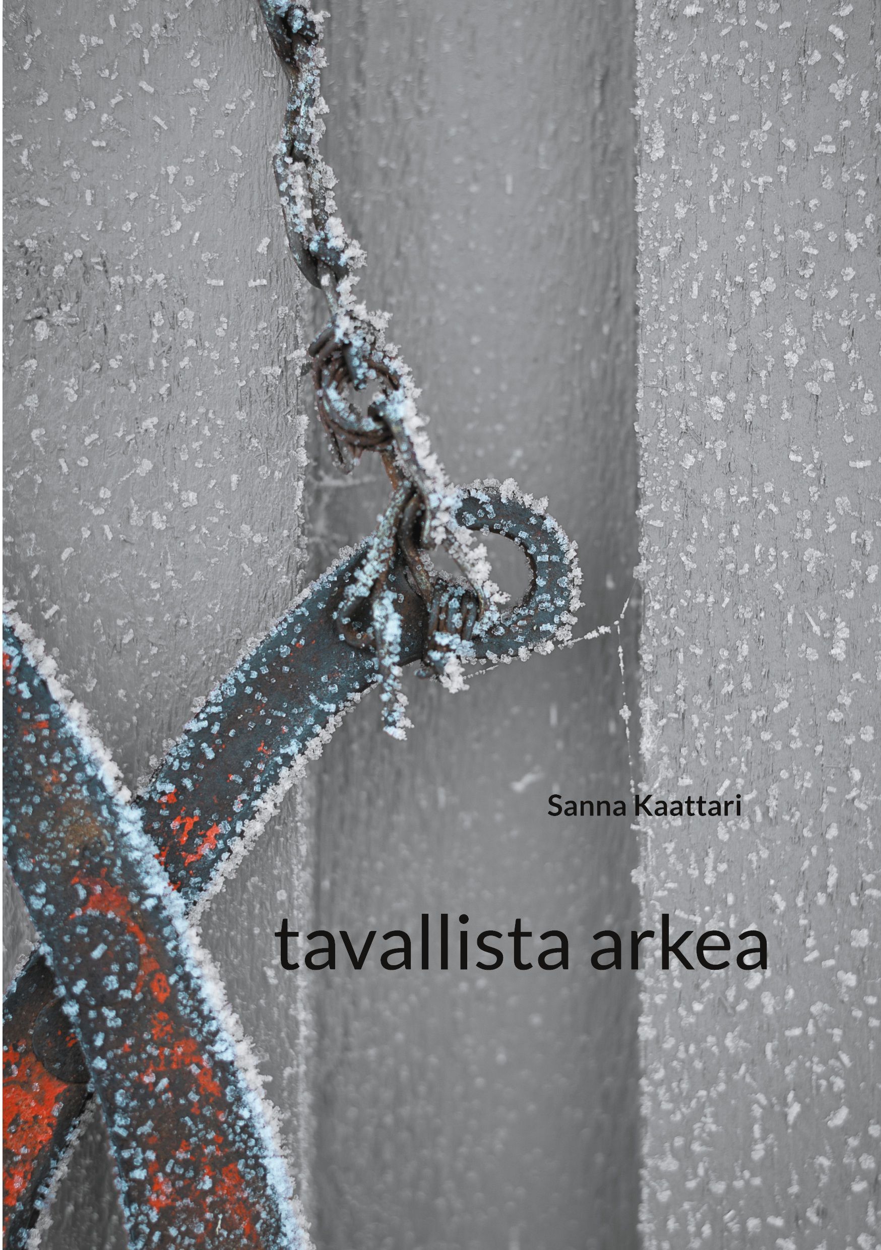 Sanna Kaattari : tavallista arkea