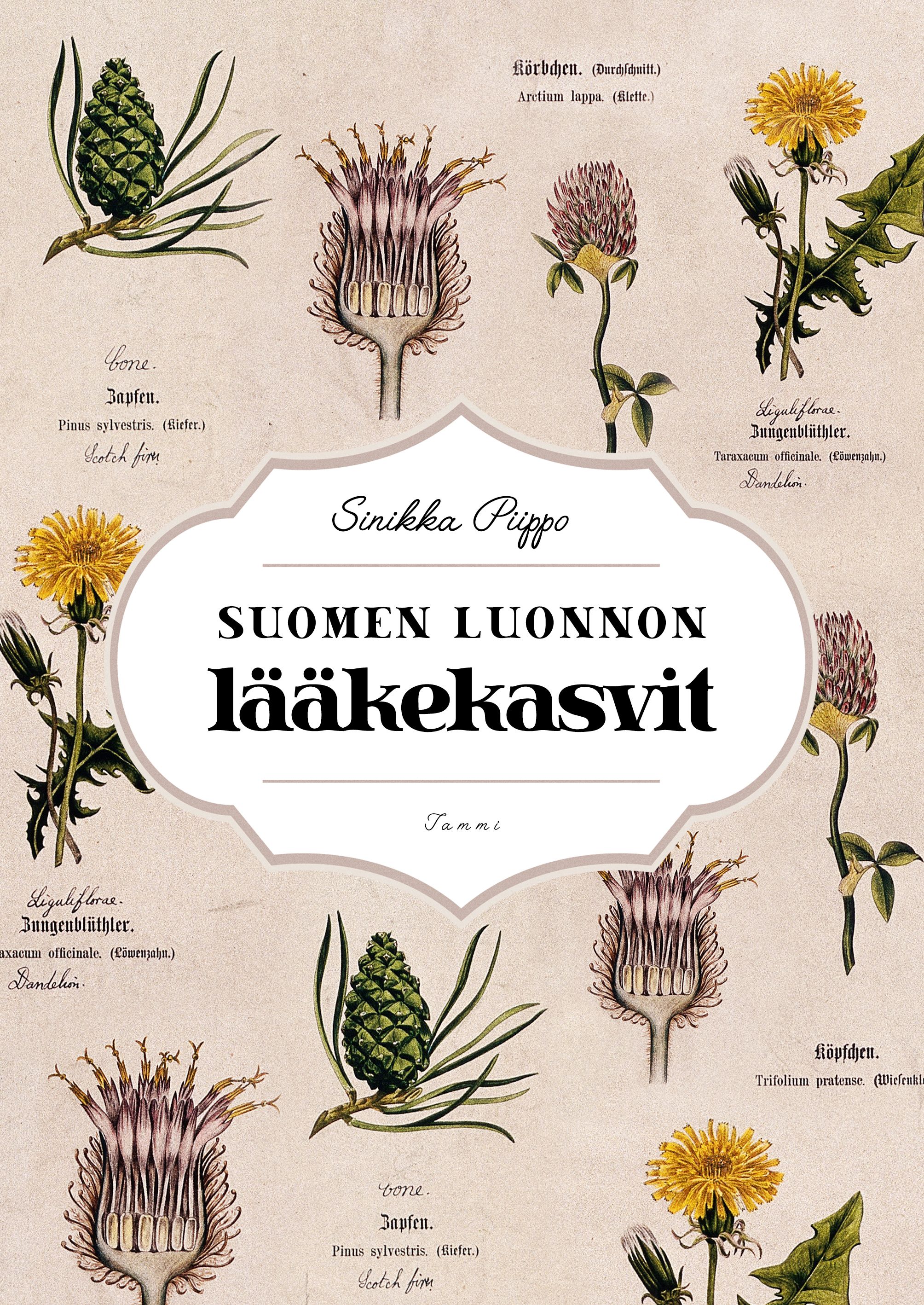 Saimaa 365 – Mikko Nikkinen