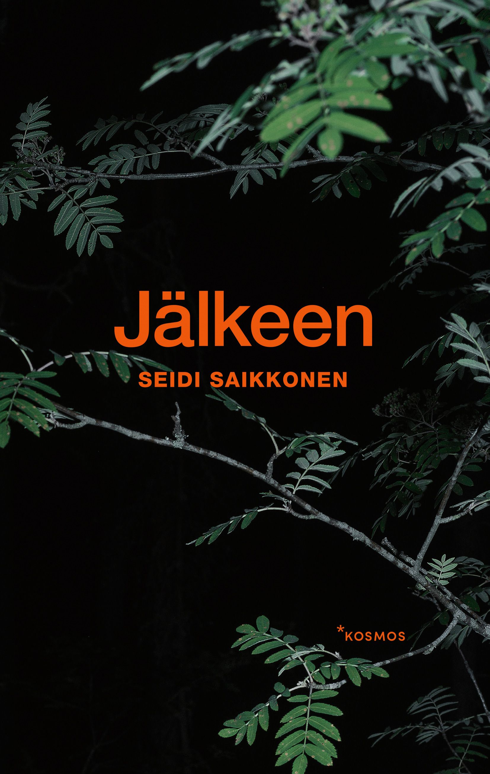 Seidi Saikkonen : Jälkeen