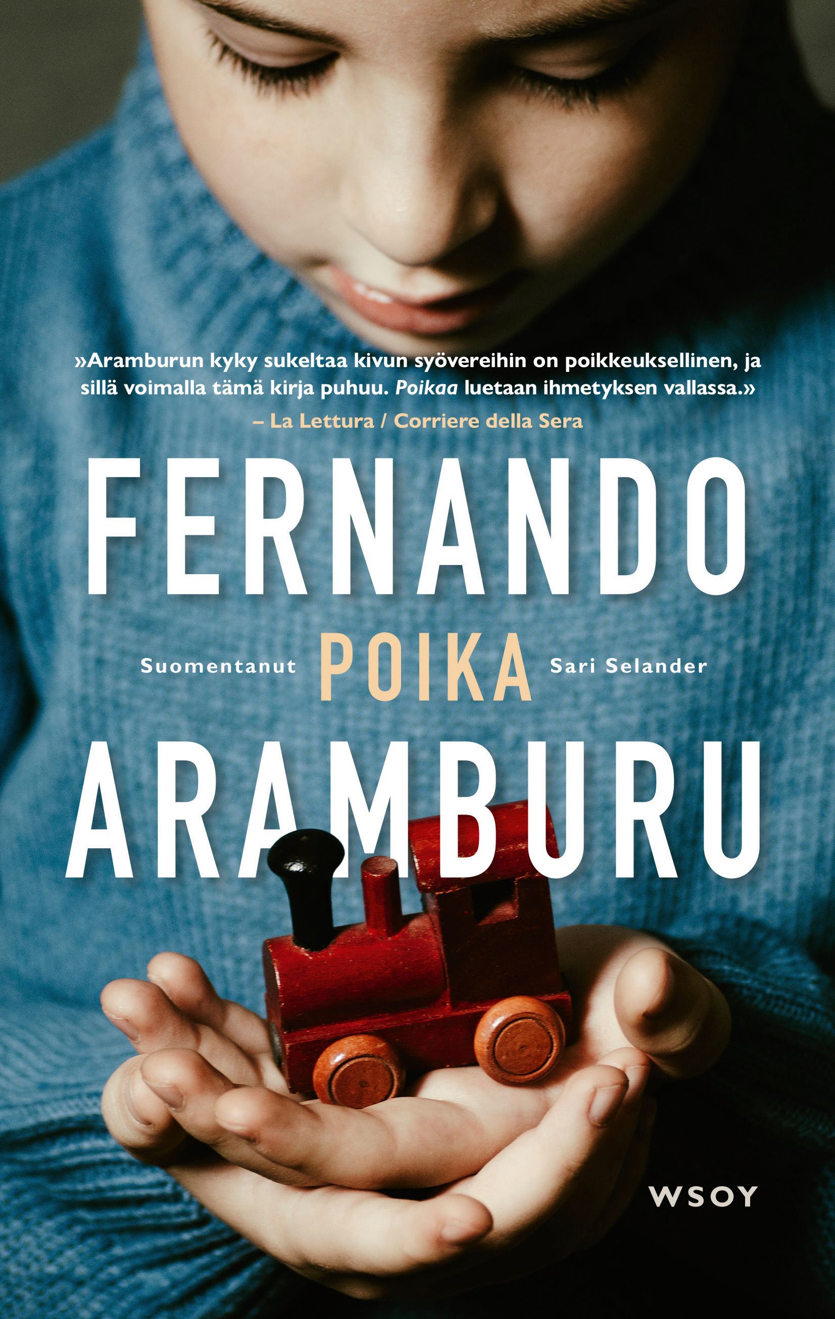 Fernando Aramburu : Poika