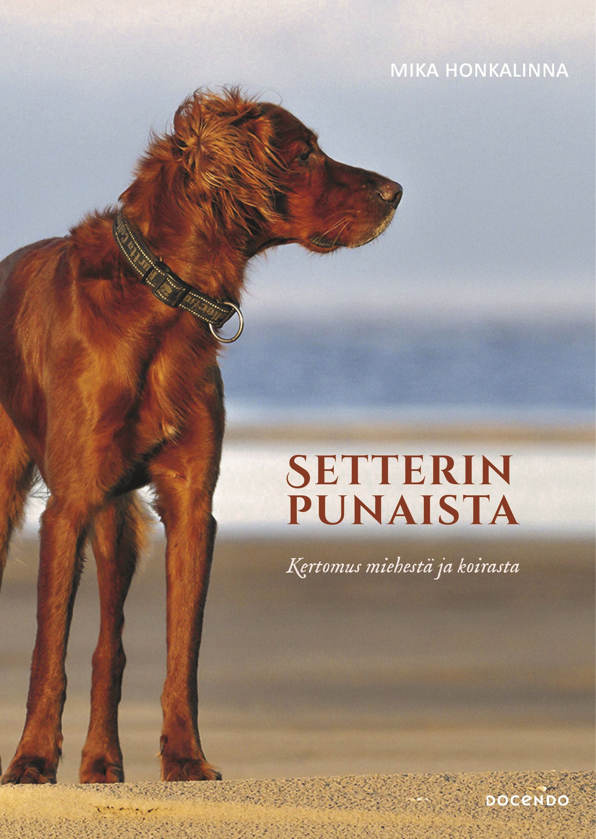 Mika Honkalinna : Setterinpunaista