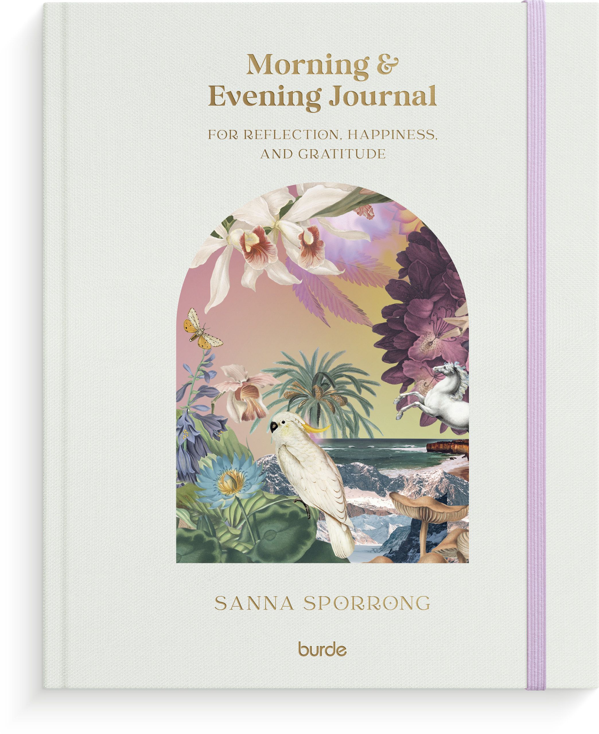 Morning & Evening Journal