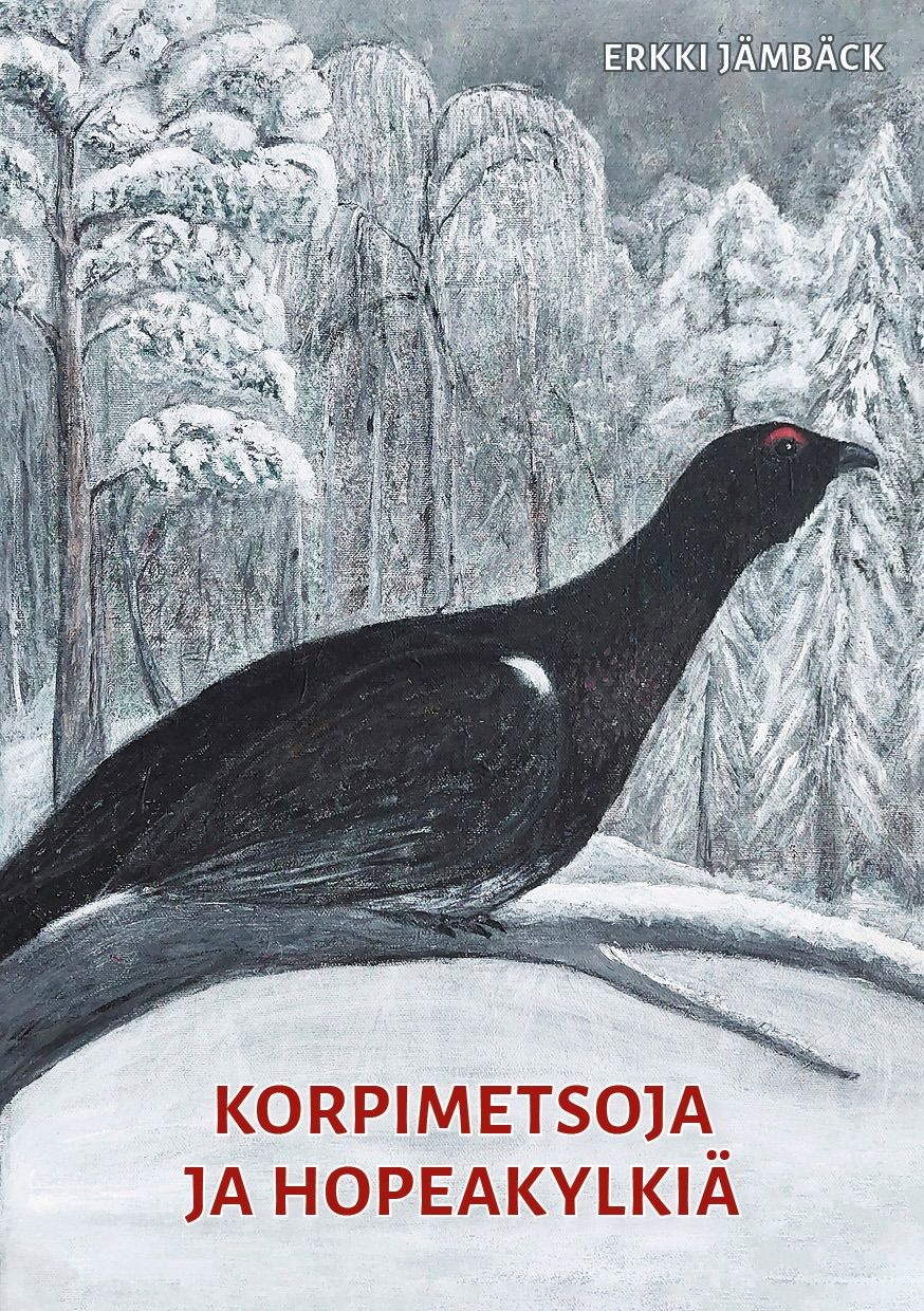 Erkki Jämbäck : Korpimetsoja ja hopeakylkiä