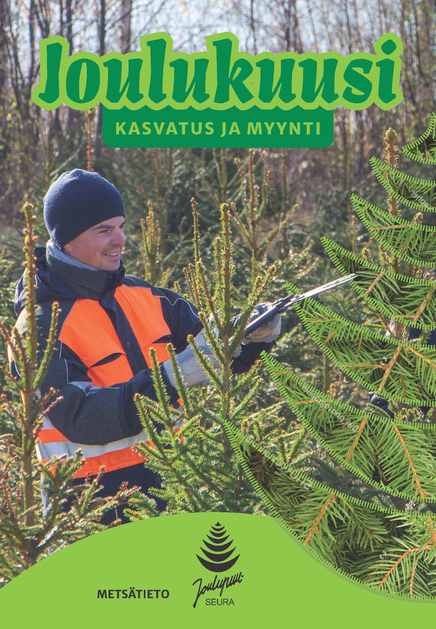 Pirjo Dalman & Vesa Haapasaari & Matti Hiltunen & Heini Katajisto & Kåre Pihlström & Hanna Rei & Juha Ruuska & Tommi Takala : Joulukuusi
