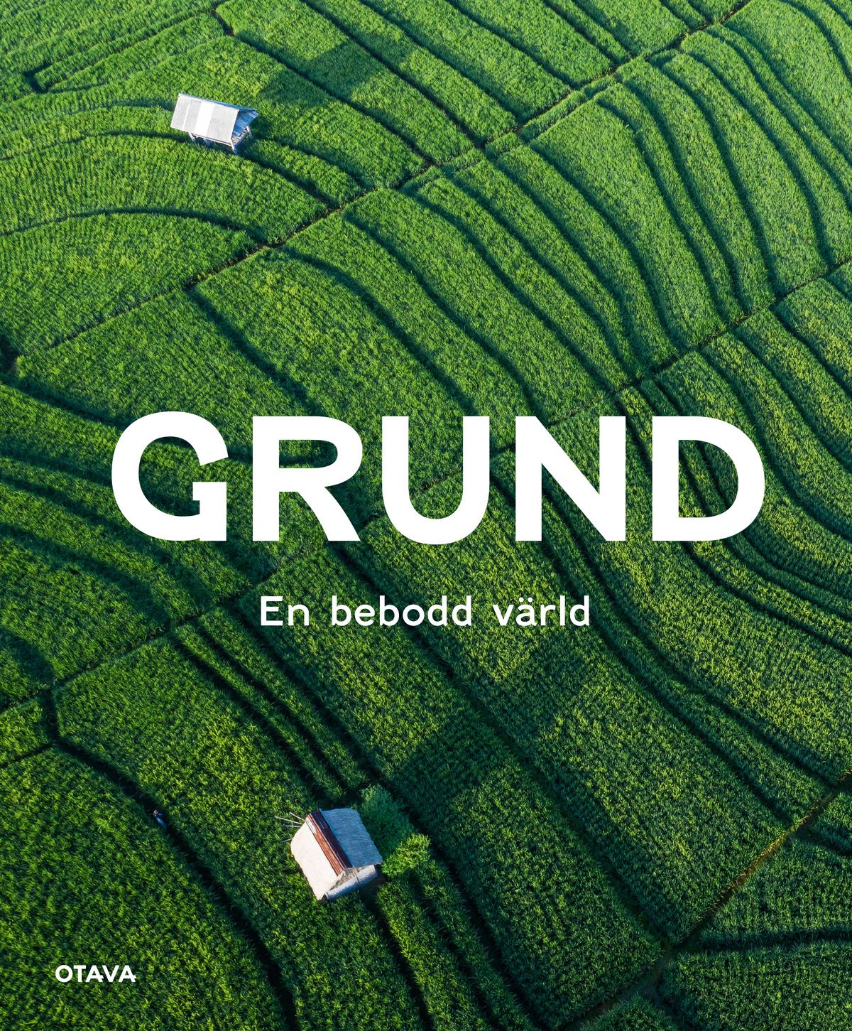 Nina Brander & Heidi Fabritius & Sanna Jortikka & Laura-Leena Leiwo & Tiia Nikkanen : Grund En bebodd värld