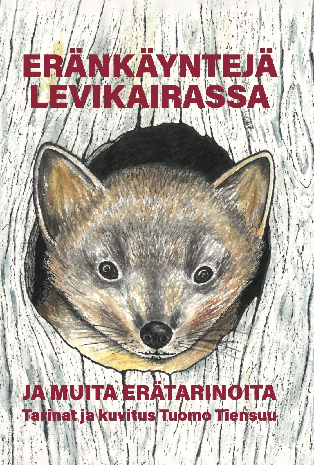 Tuomo Tiensuu : Eränkäyntejä Levikairassa
