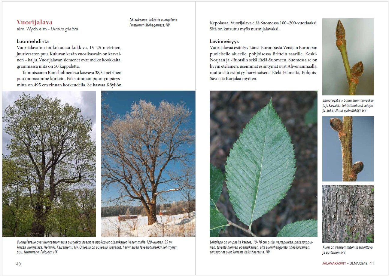 9789527623602